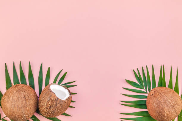 istock Palm leaves and coconuts on pink pastel background 1127760015
