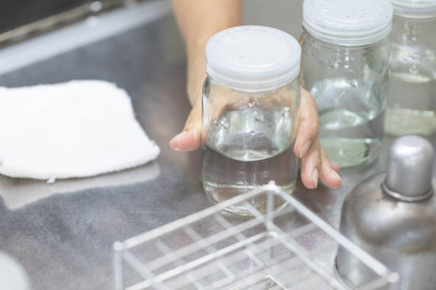 istock Plant tissue culture techniques in laboratory. 1127760106