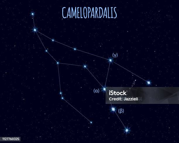 Camelopardalis Constellation Vector Illustration With The Names Of camelopardalis-constellation-vector-illustration-with-the-names-of