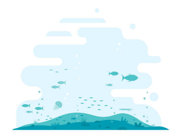 плоское дно океана - natural pool fish sea water stock illustrations