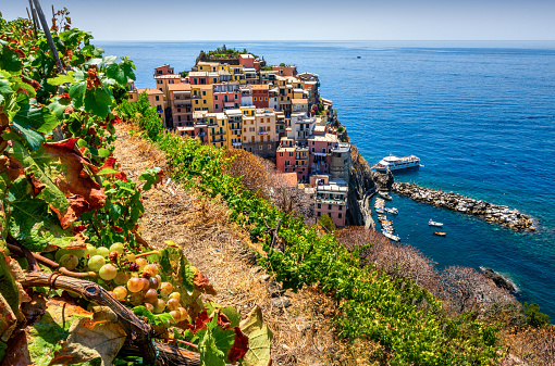 Aerial view of Manarola surrounded by vineyards. Cinque Terre National Park. Liguria. Itayl