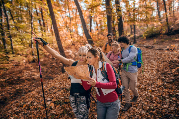 istock Group of hikers in woods. 1127761619