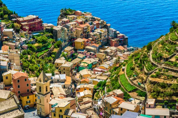 Aerial view of Manarola surrounded by vineyards. Cinque Terre National Park. Liguria. Itayl