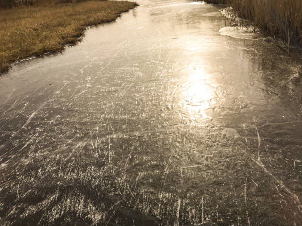 canali ghiacciati con segni di pattinaggio su ghiaccio nella riserva naturale di weerribben wieden in olanda durante una bellissima fredda giornata invernale. - wieden weerribben foto e immagini stock