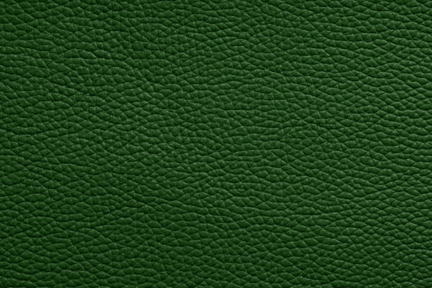 löschen sie leere grüne naturleder textur - leather green hide textured effect stock-fotos und bilder