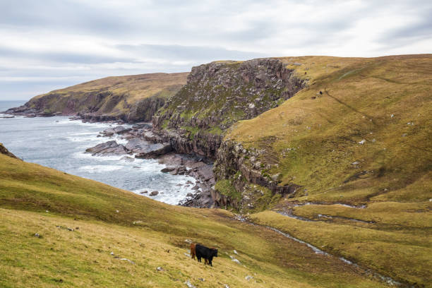 istock Scotland rainy day 1127763446