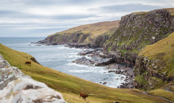 istock Scotland rainy day 1127763464