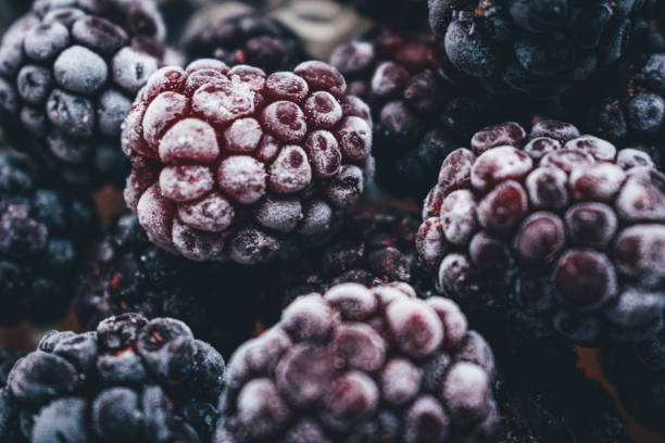 냉동된 블랙베리, 매크로, 평면도입니다. 냉동된 블랙베리 과일에 보기 닫기 - blue blueberry cold food descriptive color 뉴스 사진 이미지