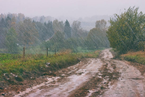 heavy spring rain in the countryside - storm summer forest cloudscape imagens e fotografias de stock