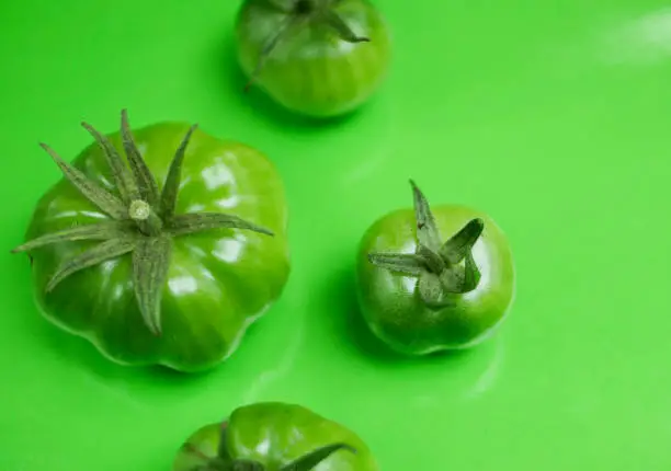 Green tomatoes on green background shot from above