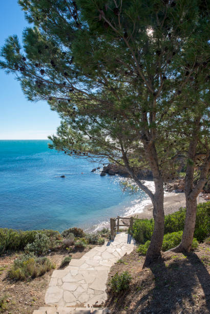 istock Trees next to the coast of ametlla de mar, Tarragona 1127772111