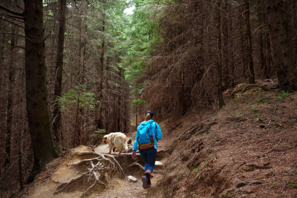 istock walk with her favourite friend 1127772293