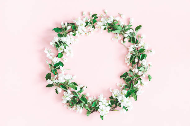 istock Flowers composition. Wreath made of apple tree flowers on pastel pink background. Spring concept. Flat lay, top view, copy space 1127773509