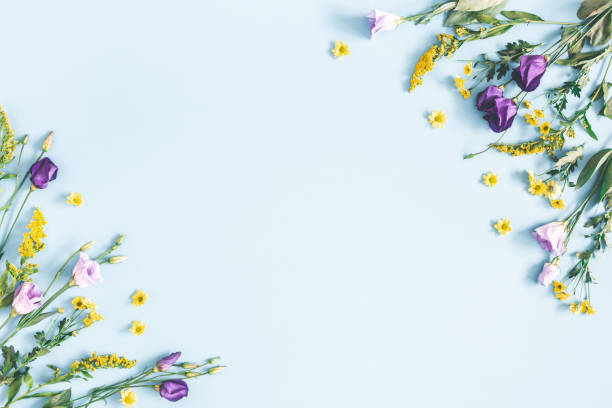 composición de flores. flores amarillas y púrpura sobre fondo azul pastel. primavera, concepto de semana santa. endecha plana, alta vista, espacio de copia - enfoque de objetos sobre la mesa fotos fotografías e imágenes de stock