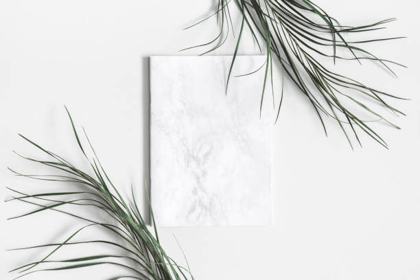 istock Notepad, dried leaves on pastel gray background. Flat lay, top view, copy space 1127775363