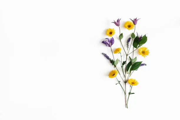 Photo of Flowers composition. Yellow and purple flowers on white background. Spring, easter concept. Flat lay, top view, copy space