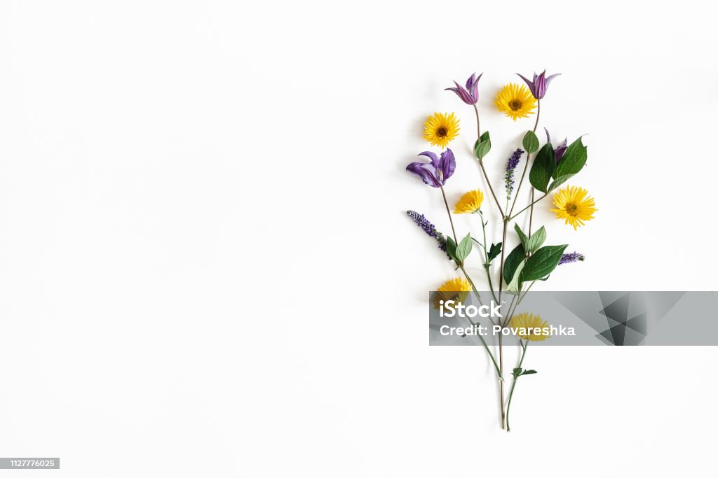 Composição de flores. Amarelas e roxas flores sobre fundo branco. Primavera, conceito de Páscoa. Vista plana leiga, topo, cópia espaço - Foto de stock de Flor royalty-free