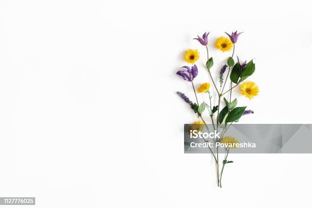 Foto de Composição De Flores Amarelas E Roxas Flores Sobre Fundo Branco Primavera Conceito De Páscoa Vista Plana Leiga Topo Cópia Espaço e mais fotos de stock de Flor