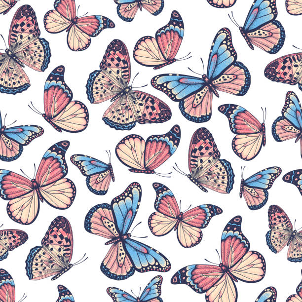 Vector vintage hand drawn seamless pattern with beautiful colorful butterflies on a white background