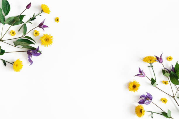 istock Flowers composition. Yellow and purple flowers on white background. Spring, easter concept. Flat lay, top view, copy space 1127776087