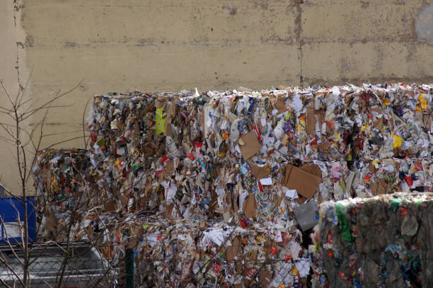 istock Recycling yard waste recycling plant operation 1127776394