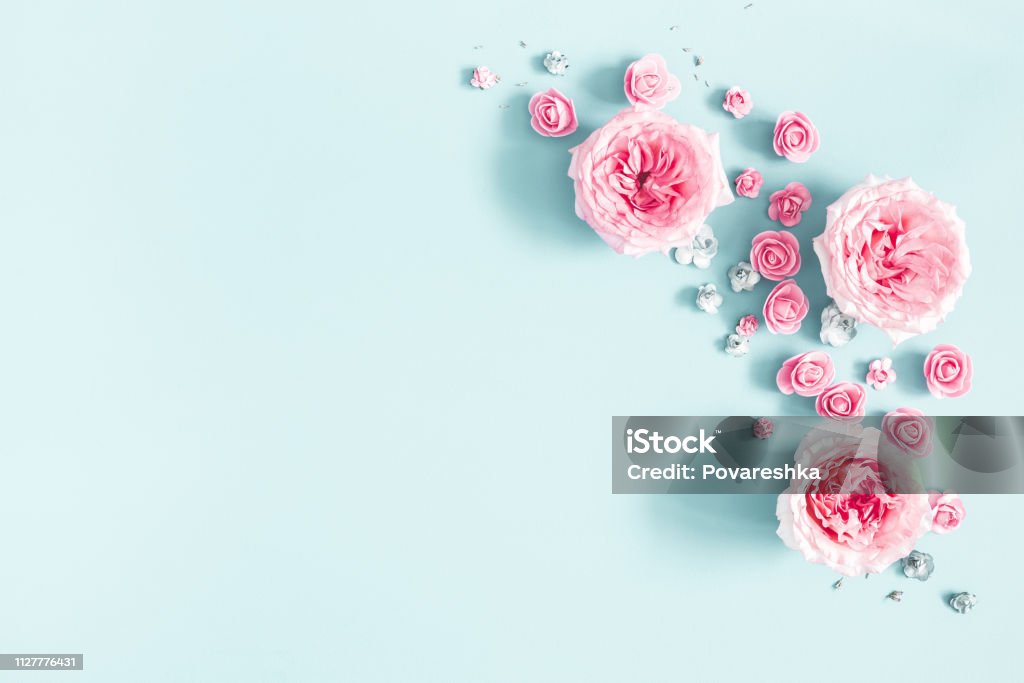 Composición De Flores Marco De Flores Rosas Sobre Fondo Azul Pastel Día De San Valentín Día De Las Madres Día De La Mujer Concepto De Primavera Endecha Plana Alta Vista Espacio De Composición De Flores Marco De Flores Rosas Sobre Fondo Azul Pastel Día De San Valentín Día De Las Madres Día De La Mujer Concepto De Primavera Endecha Plana Alta Vista Espacio De
