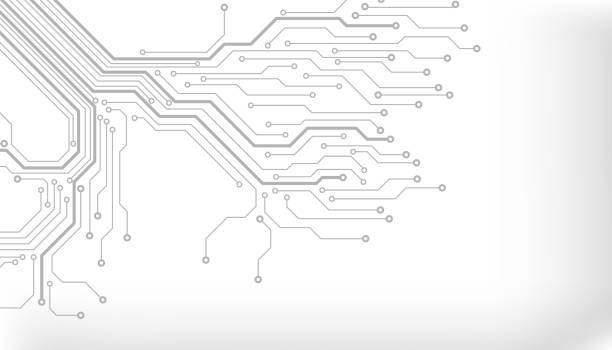 ilustrações, clipart, desenhos animados e ícones de placa de circuito - plant root system