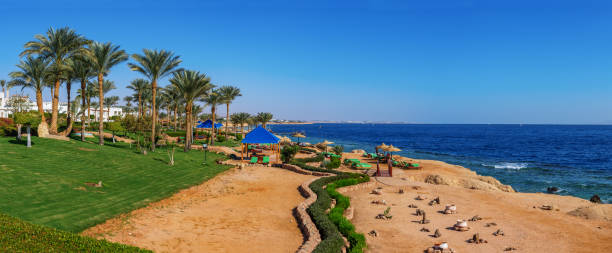istock coastline in Sharm El Sheikh 1127778476