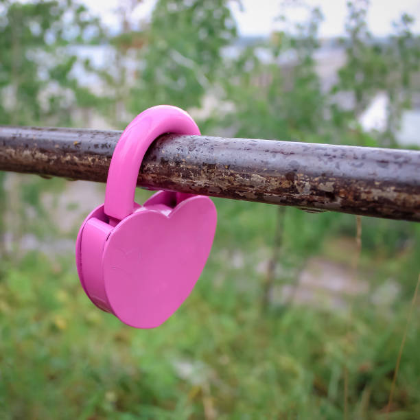 Pink padlock heart shape locked on a fence. Wedding symbol. Selective focus. Blurred green background. Square photo.