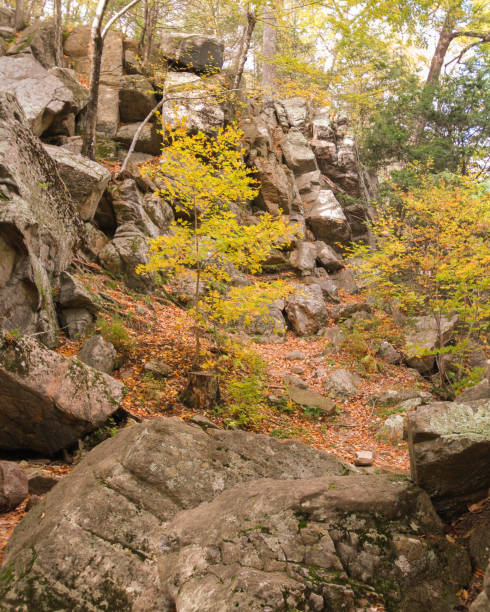 istock Rocky landscape in the Autumn forest 1127783615