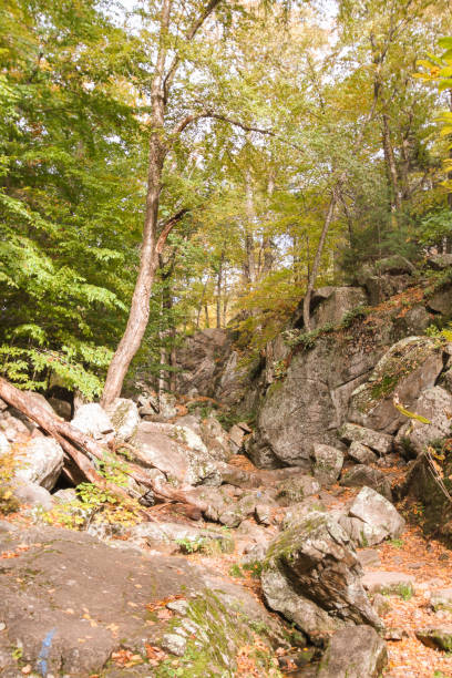 istock Rocky landscape in the Autumn forest 1127783622