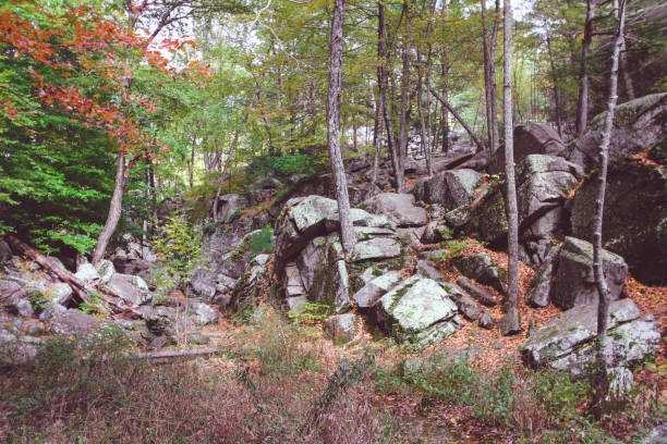 istock Rocky landscape in the Autumn forest 1127783628