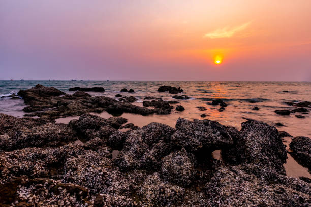 istock Seashell rocks on the beach and sunset 1127784048
