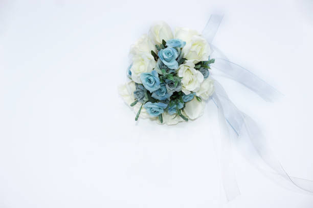 istock white background with flowers on top to create postcards 1127786031