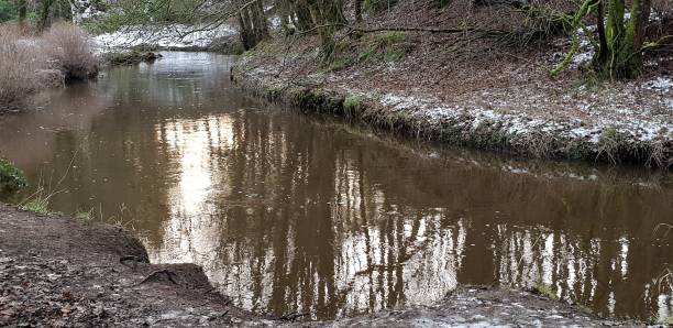 istock Reflections of trees in muddy river water 1127786482