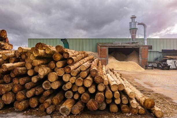 istock Pine wood sawmill with machinery for processing wood 1127790223