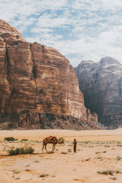 donna che si avvicina al cammello nel deserto del wadi rum - wadi rum foto e immagini stock