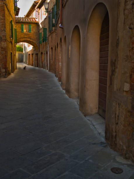 istock Italian alley cat 1127793113