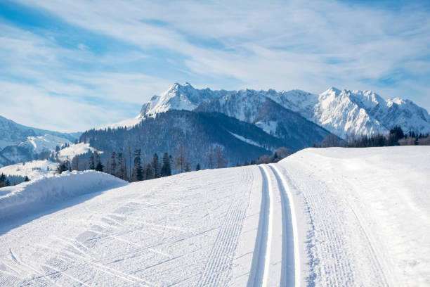 istock cross country ski track and the Kaiser 1127793488