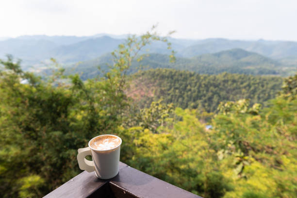 istock Latte art paper cup with blur trees view 1127794725