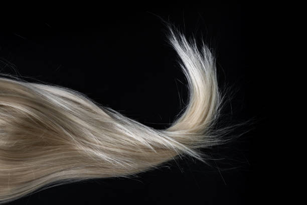 capelli biondi lucidi su nero. - human hair curled up hair extension isolated foto e immagini stock