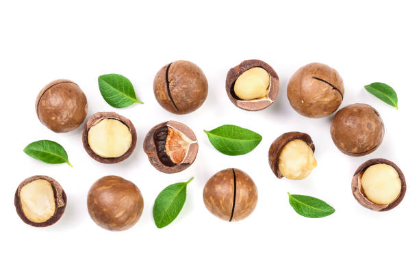istock Shelled and unshelled macadamia nuts with leaves isolated on white background with copy space for your text. Top view. Flat lay pattern 1127795848