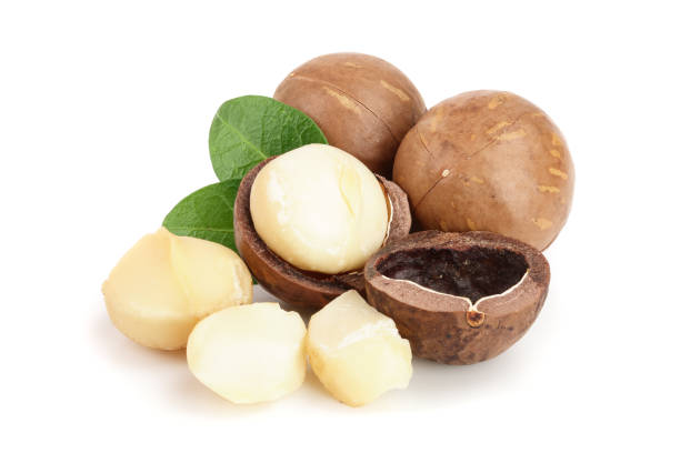 istock Shelled and unshelled macadamia nuts isolated on white background 1127795870