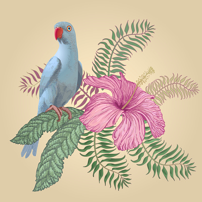Colorful Illustration of hand drawn tropical hibiscus flower, frangipani, palm leaves and blue Indian parrot isolated on a white background. Wedding invitation, Birthday greeting, book cover, postcard
