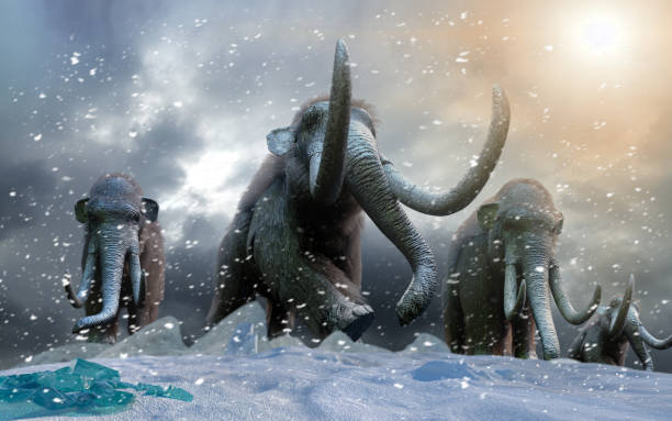 istock herd of mammoths in the wild render 3d 1127804007