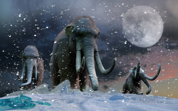 istock herd of mammoths in the wild render 3d 1127804064
