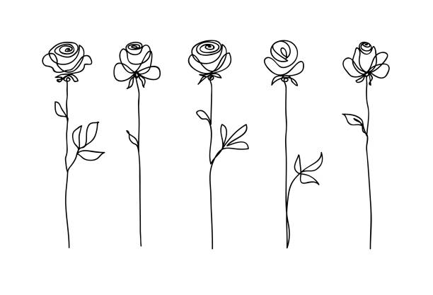 rose blume set. kontinuierliches zeichnen. line-art-konzept-design. stilvolle moderne trendmuster für die dekoration von einladungskarte, banner - blumen tattoos stock-grafiken, -clipart, -cartoons und -symbole