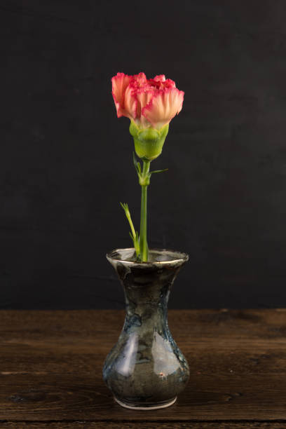 istock Small marble vase with carnation flower on black background 1127804391