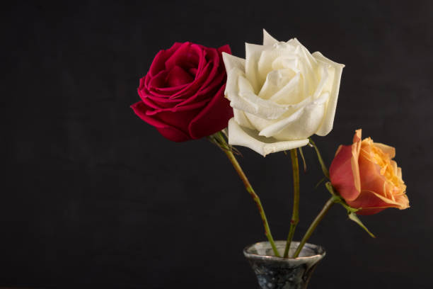 istock Three roses closeup image in small marble vase on black background 1127804402