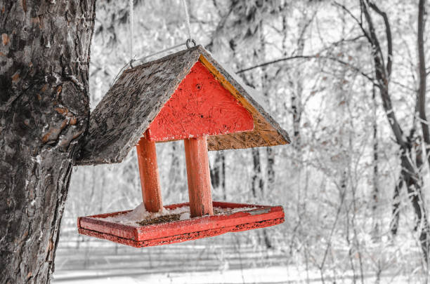 istock Bird feeder in the winter in the forest on tree. 1127807423